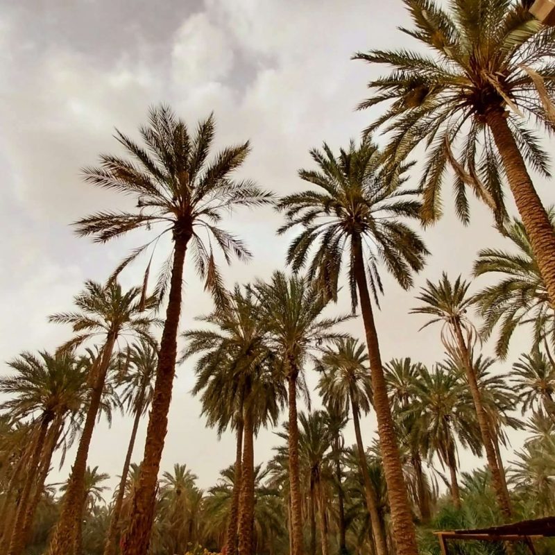 345601735_2382286068606808_8412343909314010339_n